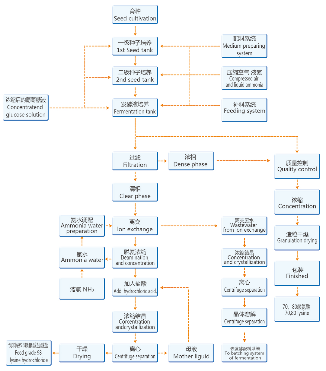 Feed-grade lysine: two product routes