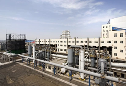 Corn deep-processing projects — Plant pipework